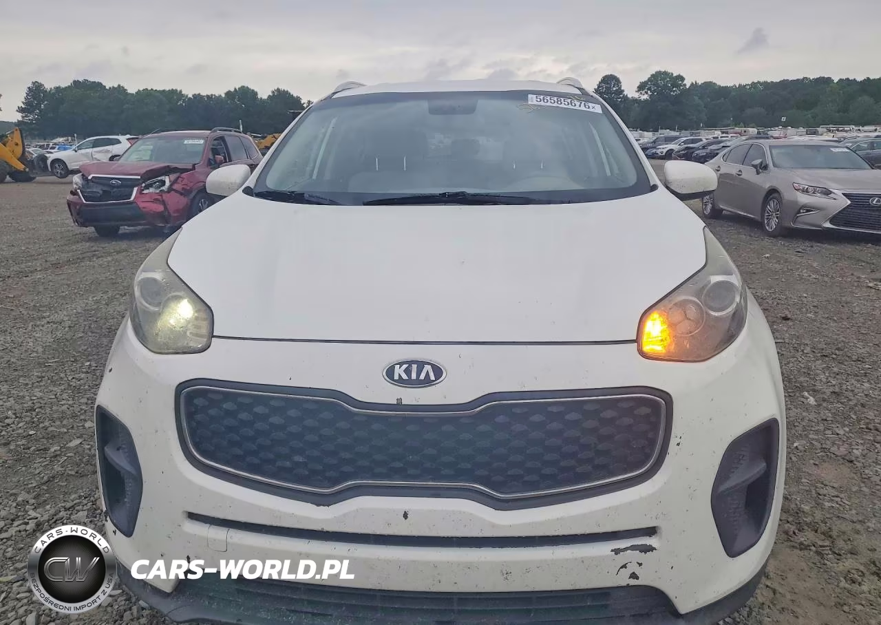 2017 Kia Sportage Lx VIN:KNDPM3AC0H7050882 - 5
