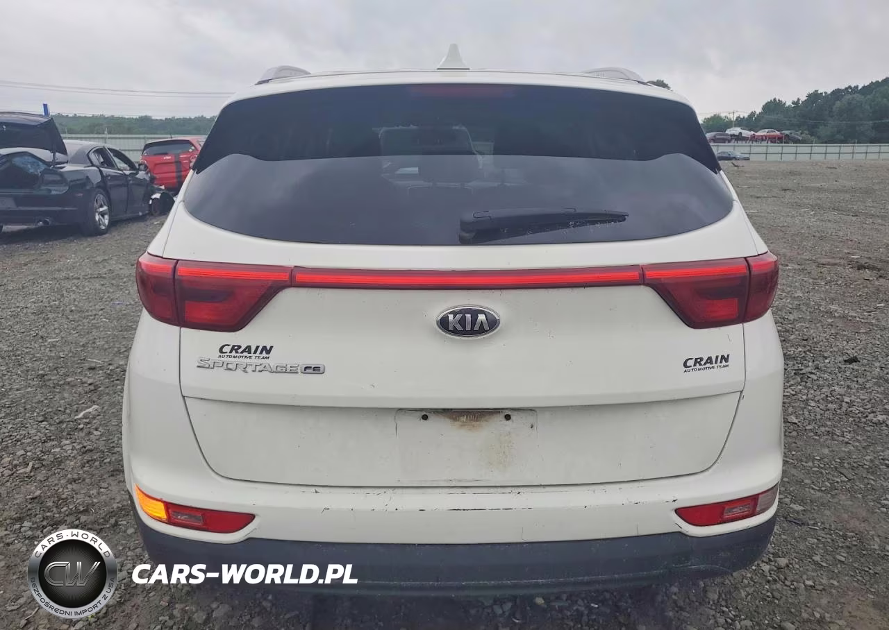 2017 Kia Sportage Lx VIN:KNDPM3AC0H7050882 - 6