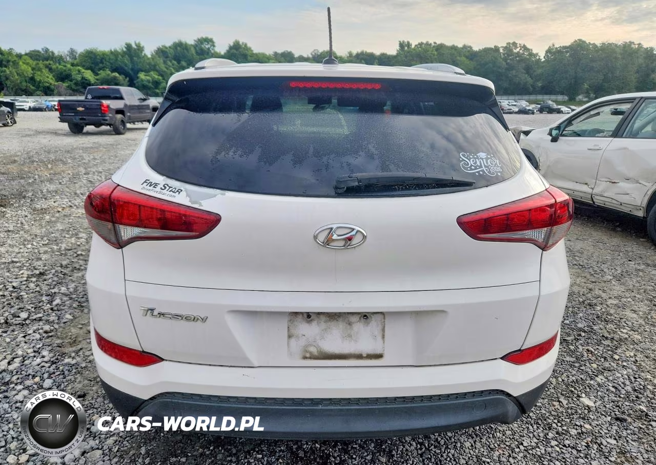 2016 Hyundai Tucson Se VIN:KM8J33A43GU255125 - 6