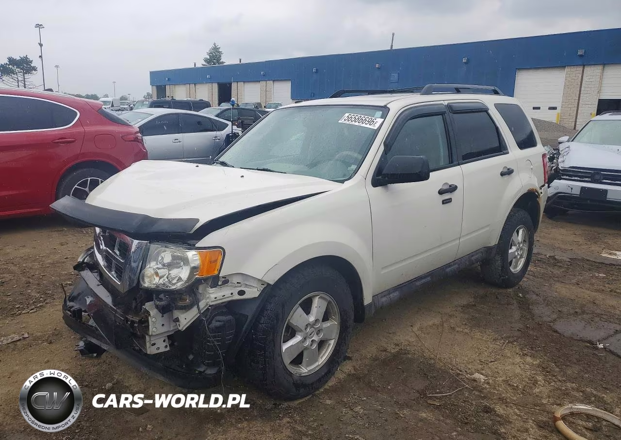 2010 Ford Escape Xlt