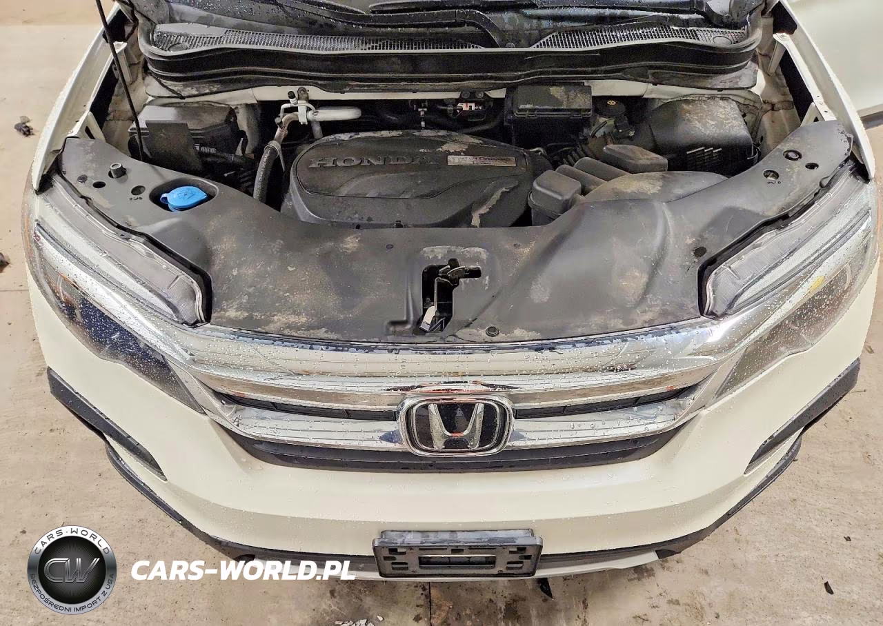 2019 Honda Pilot Exl VIN:5FNYF6H50KB030866 - 11