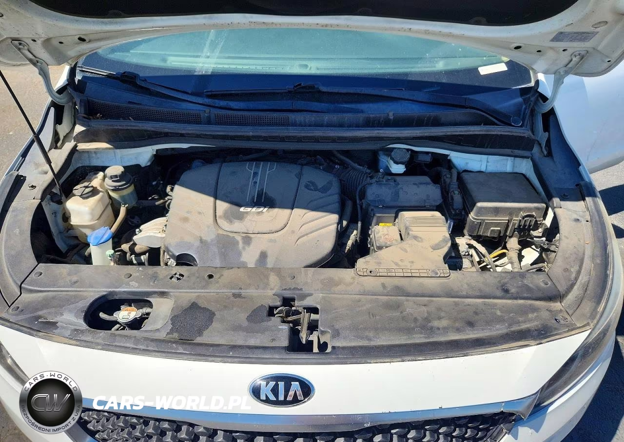 2017 Kia Sedona Lx VIN:KNDMB5C15H6230901 - 12
