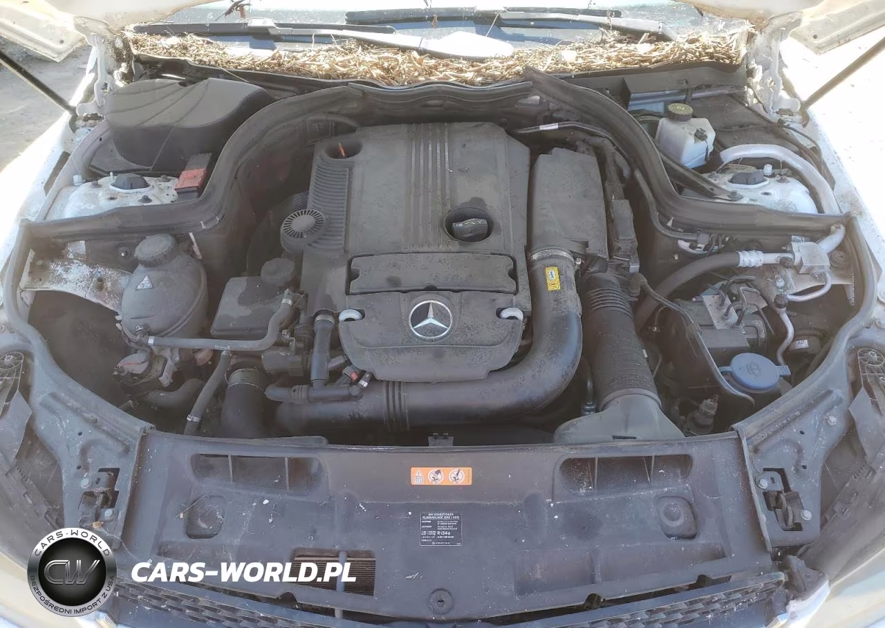 2013 Mercedes-Benz C 250 VIN:WDDGF4HB1DA851112 - 11