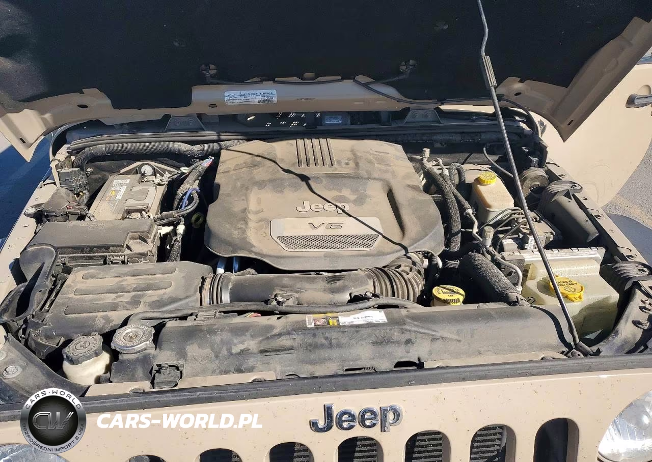 2016 Jeep Wrangler Unlimited Rubicon VIN:1C4BJWFG6GL253670 - 12