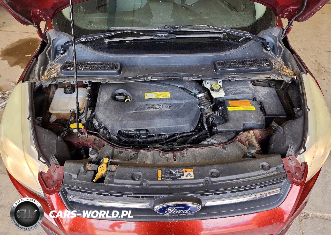 2014 Ford Escape Se VIN:1FMCU9GX5EUA08356 - 12
