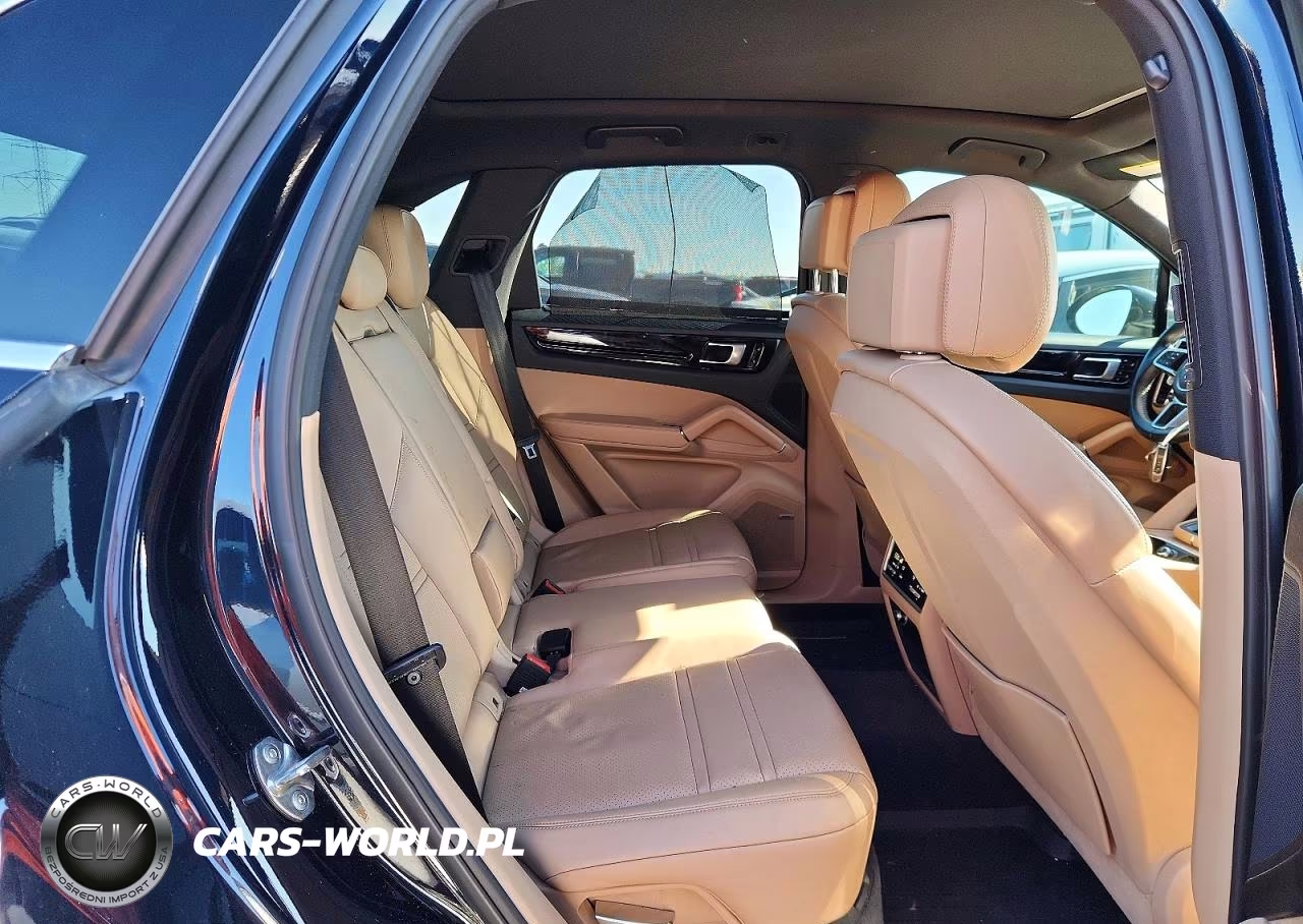 2019 Porsche Cayenne VIN:WP1AA2AY4KDA06489 - 10
