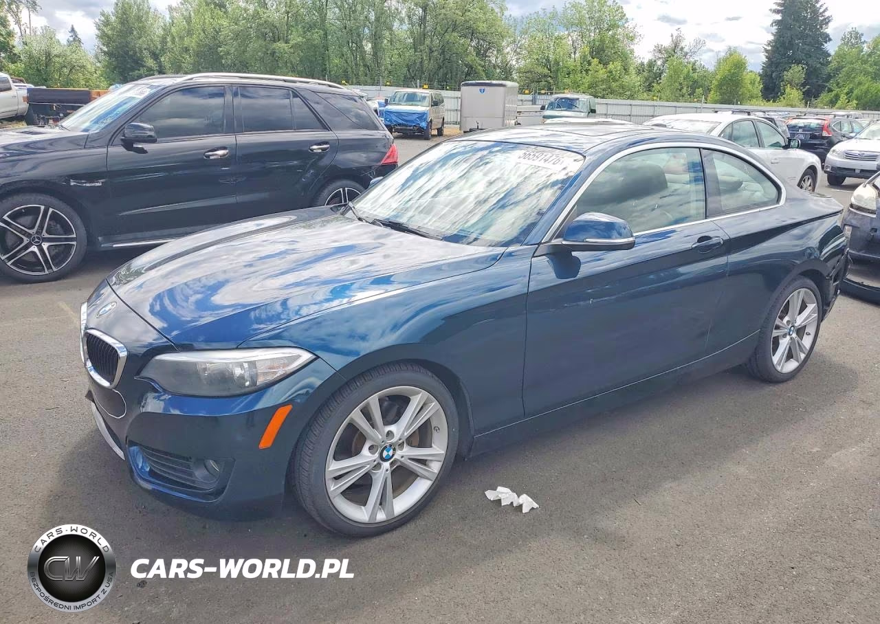 2014 BMW 228 I