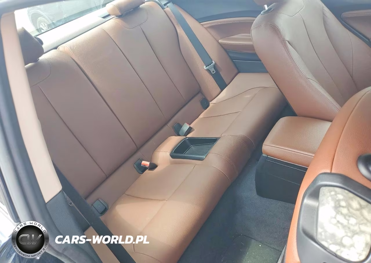 2014 BMW 228 I VIN:WBA1F5C5XEV246049 - 10