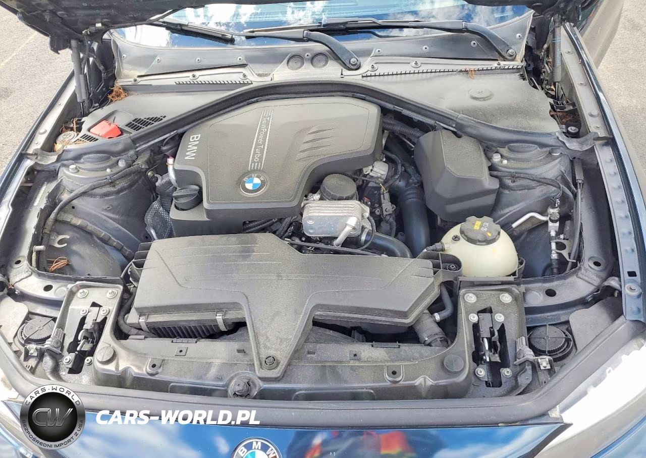 2014 BMW 228 I VIN:WBA1F5C5XEV246049 - 11