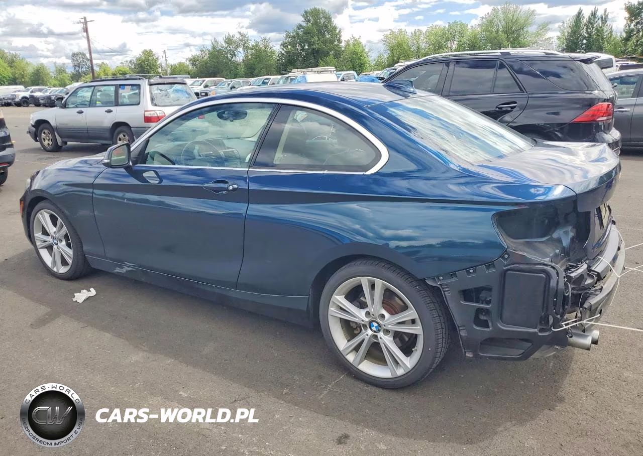 2014 BMW 228 I VIN:WBA1F5C5XEV246049 - 2