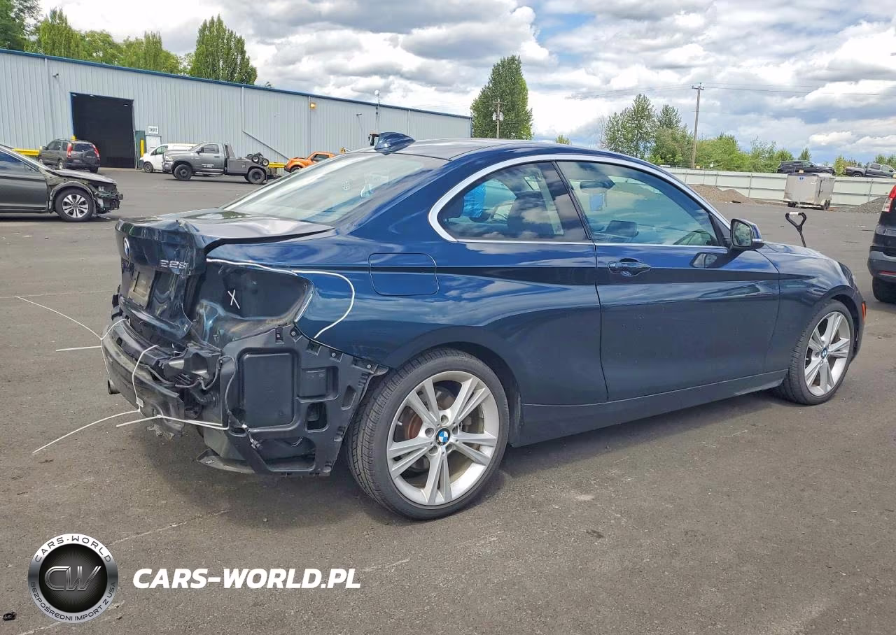 2014 BMW 228 I VIN:WBA1F5C5XEV246049 - 3