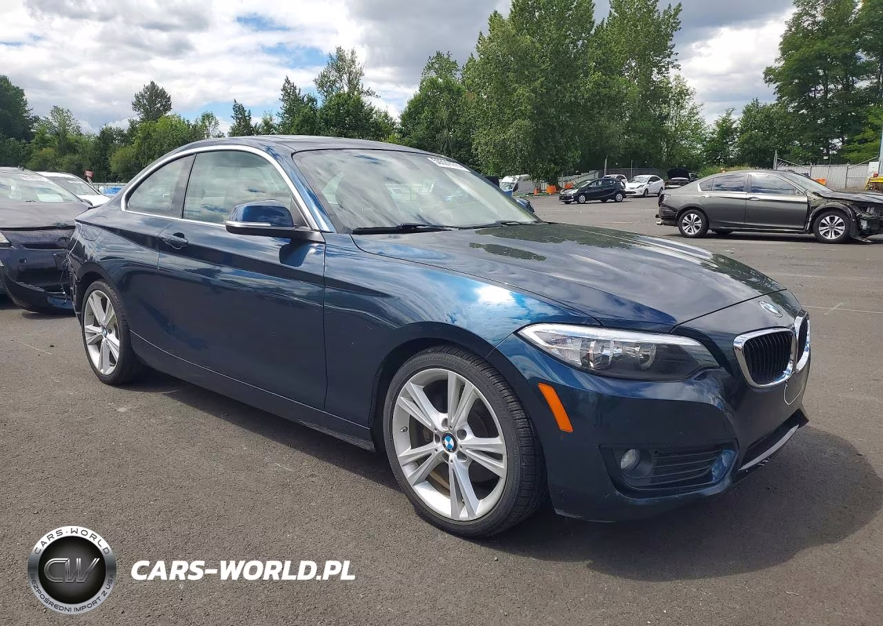 2014 BMW 228 I VIN:WBA1F5C5XEV246049 - 4