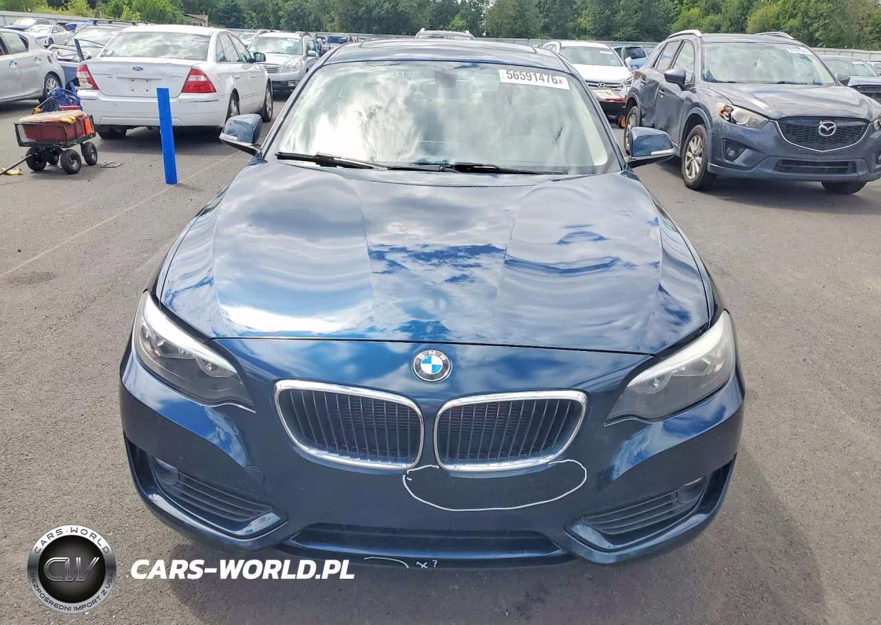 2014 BMW 228 I VIN:WBA1F5C5XEV246049 - 5