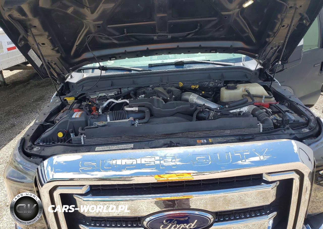 2015 Ford F350 Super Duty VIN:1FT8W3BT7FEC87617 - 12