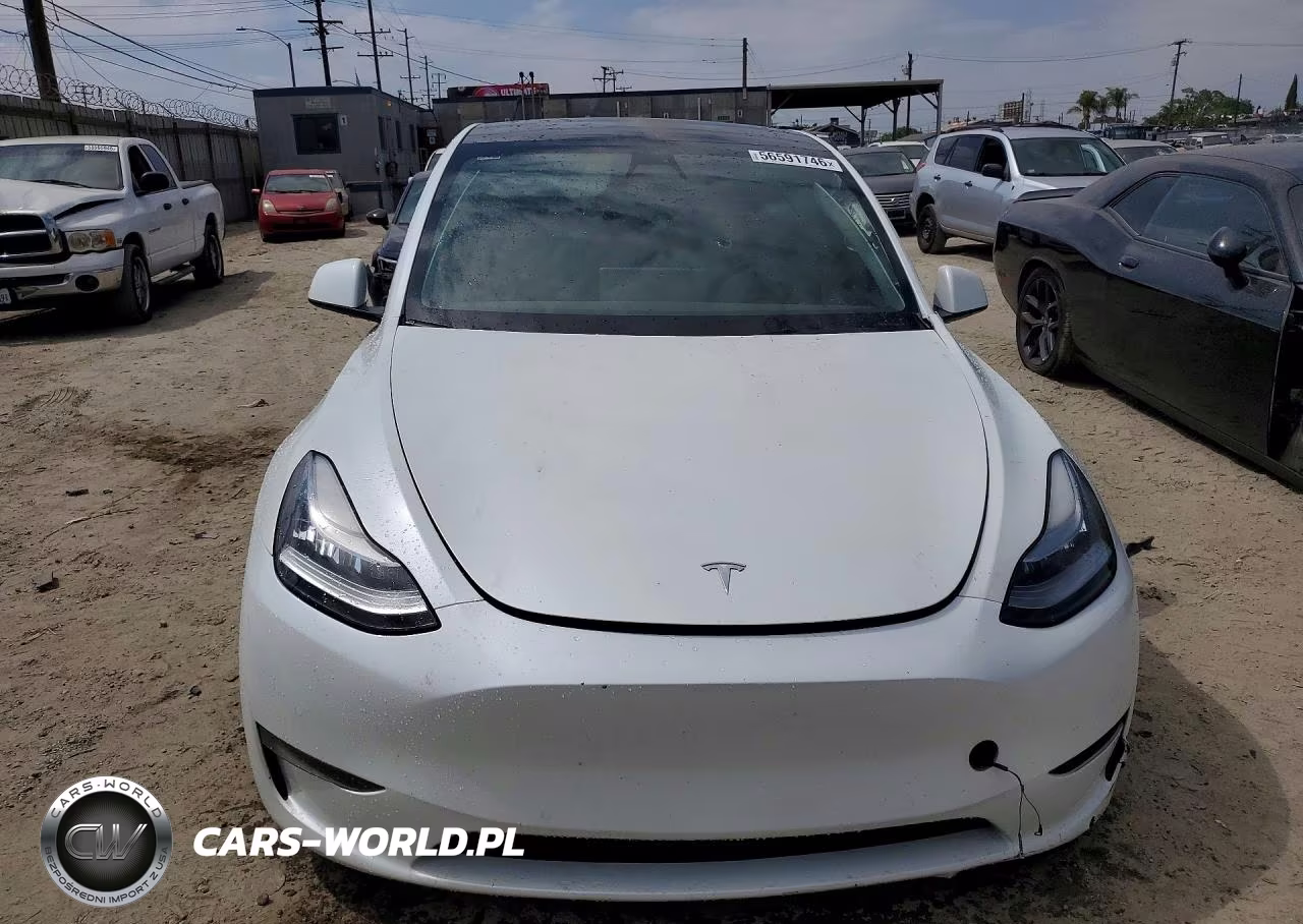 2022 Tesla Model Y VIN:7SAYGDEE1NF355362 - 5