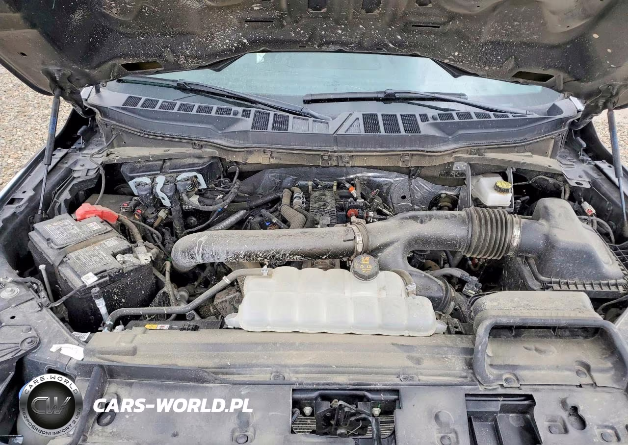 2025 Ford F150 Xlt VIN:1FTFW3L80SKE52694 - 11