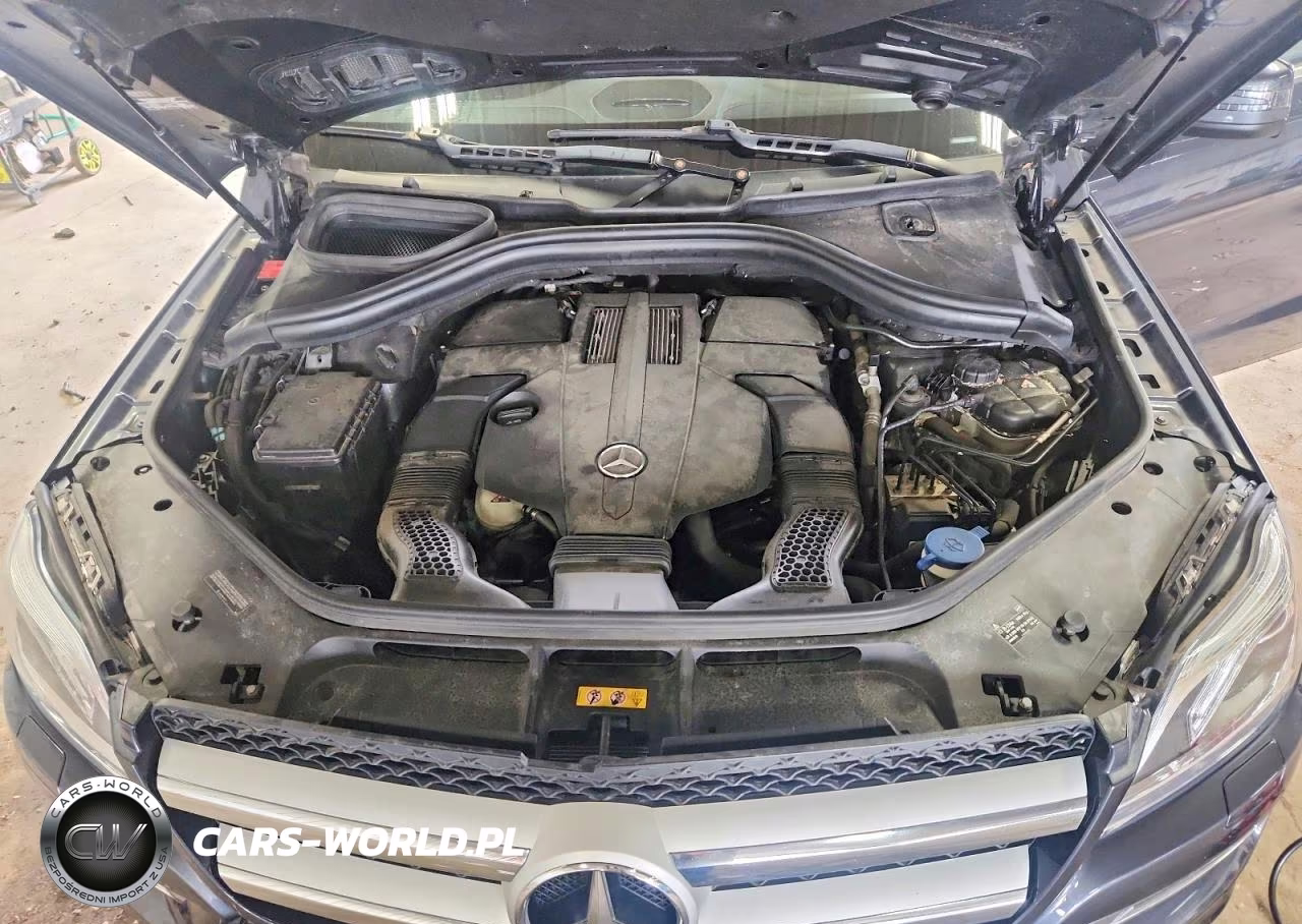 2016 Mercedes-Benz Gl 450 4Matic VIN:4JGDF6EE9GA712076 - 12