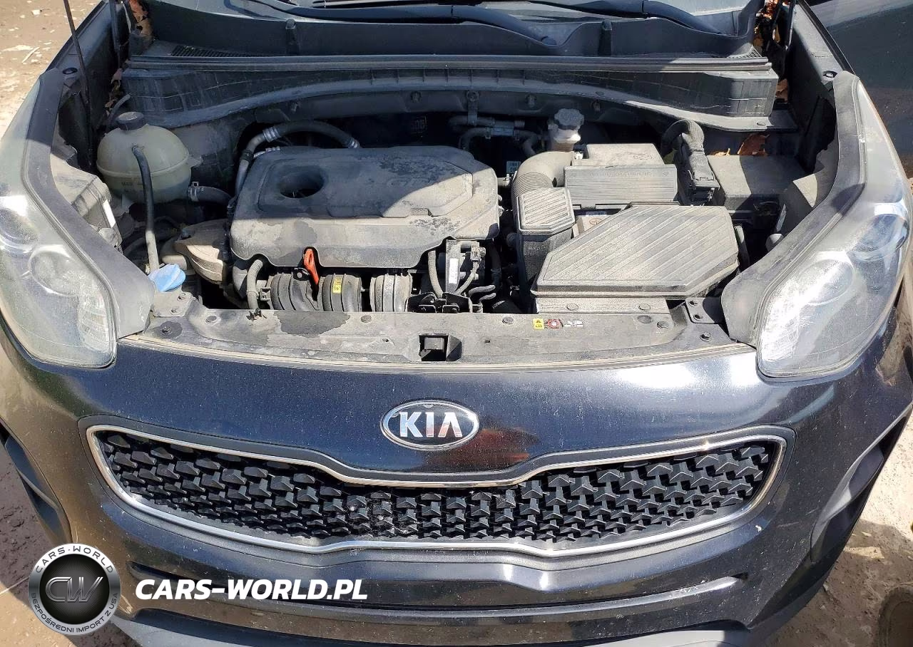 2017 Kia Sportage Lx VIN:KNDPM3AC5H7189230 - 12