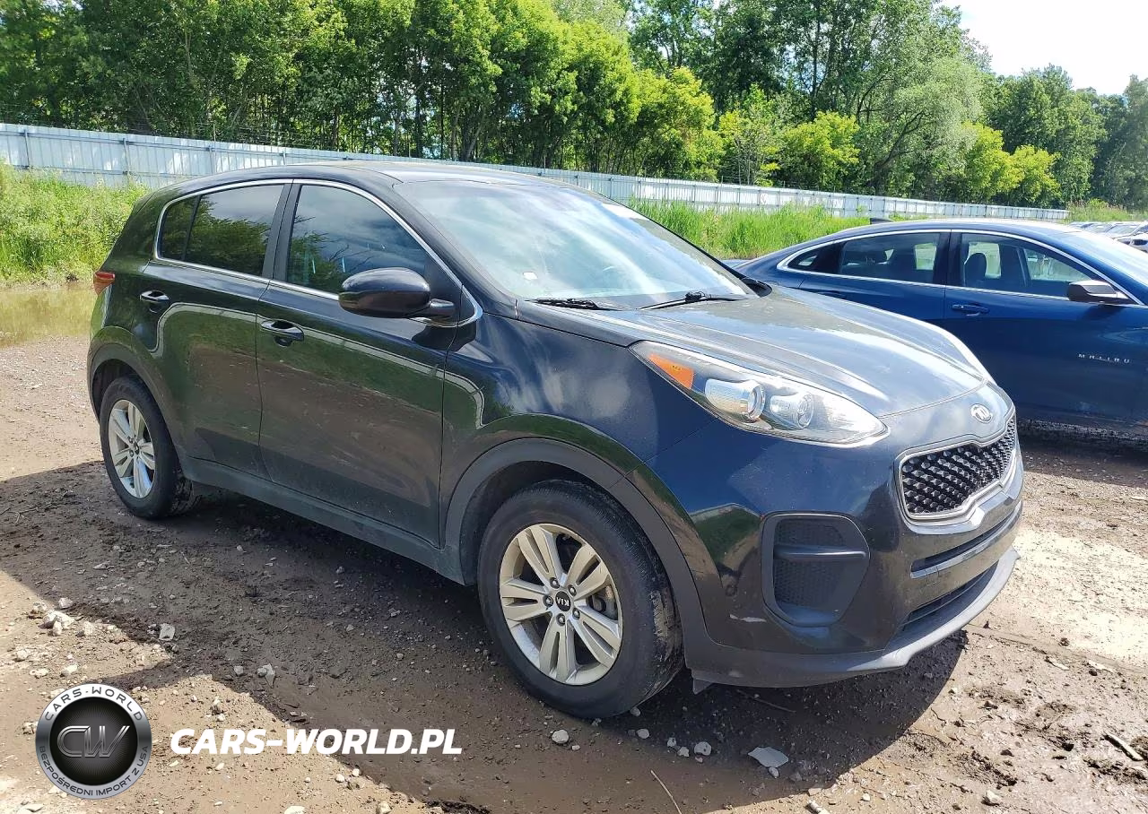 2017 Kia Sportage Lx VIN:KNDPM3AC5H7189230 - 4