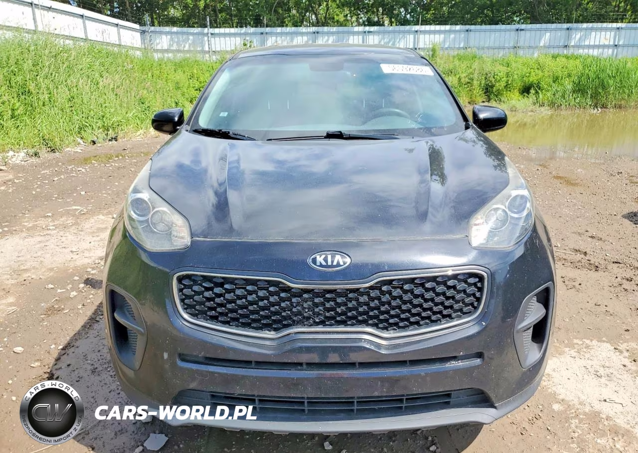 2017 Kia Sportage Lx VIN:KNDPM3AC5H7189230 - 5