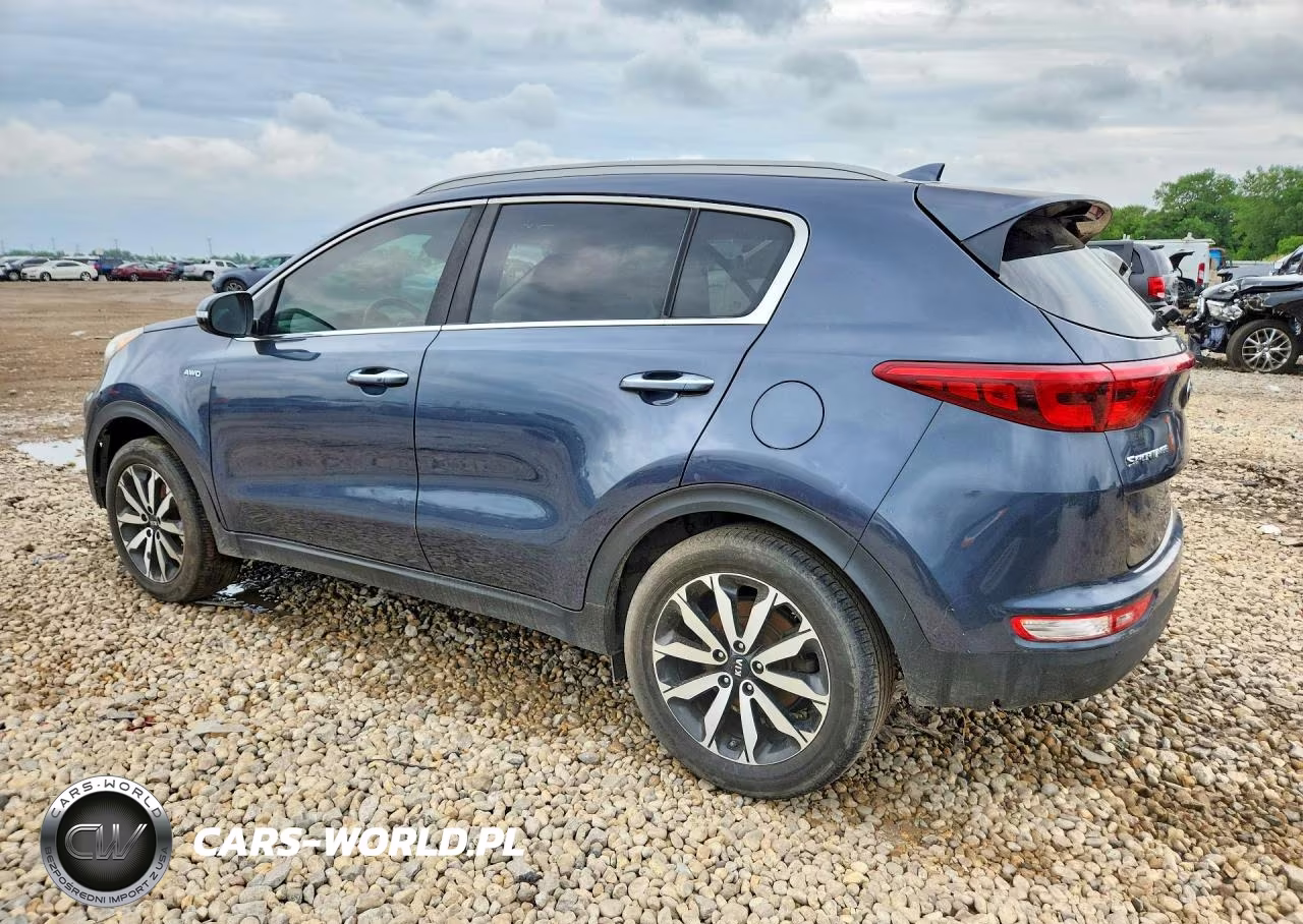 2019 Kia Sportage Ex VIN:KNDPNCAC7K7553202 - 2