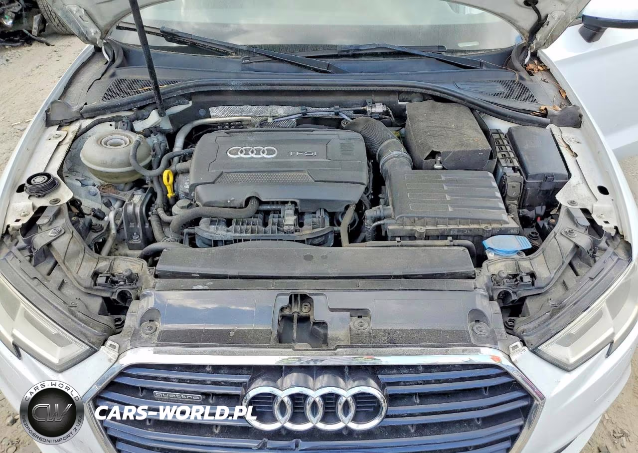 2017 Audi A3 Premium VIN:WAUB8GFFXH1010544 - 11