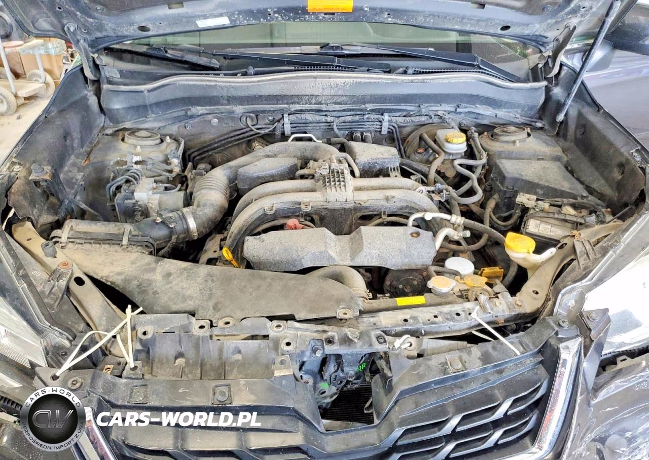 2017 Subaru Forester 2.5I Touring VIN:JF2SJAWC4HH430559 - 12