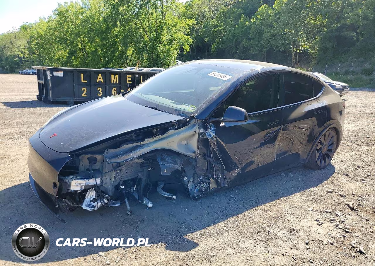 2023 Tesla Model Y VIN:7SAYGDEF9PF957891 - 1