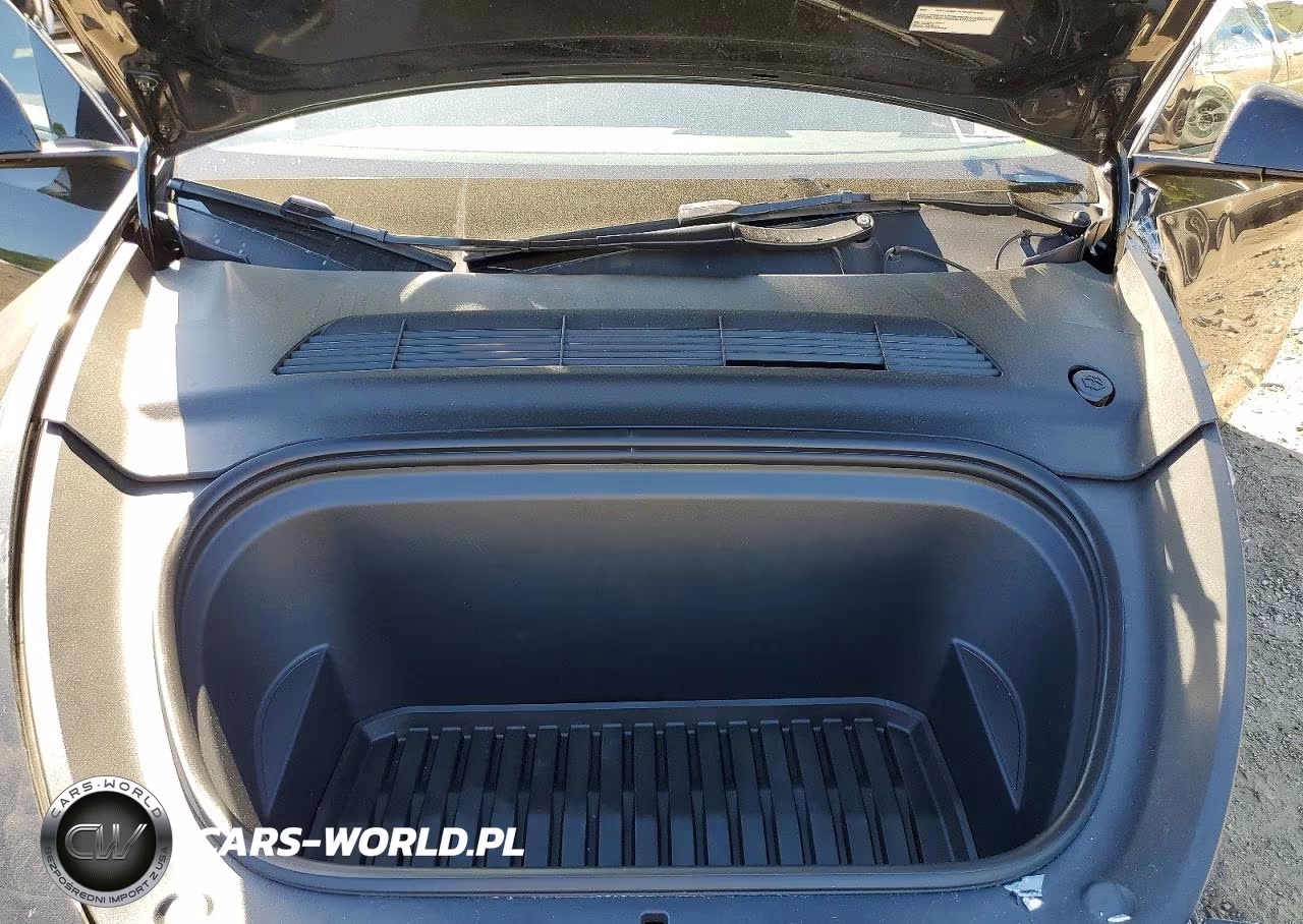 2023 Tesla Model Y VIN:7SAYGDEF9PF957891 - 11