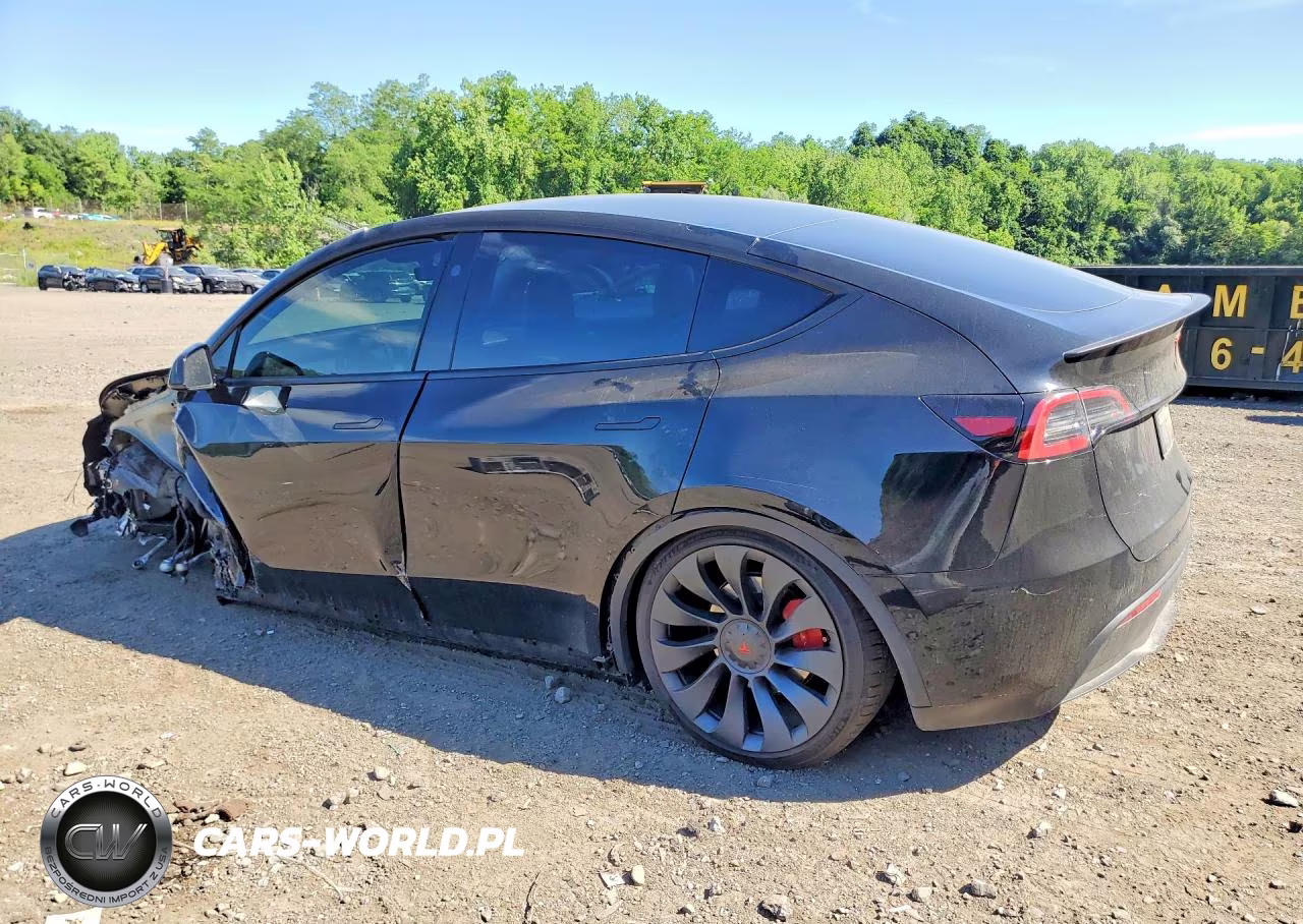 2023 Tesla Model Y VIN:7SAYGDEF9PF957891 - 2
