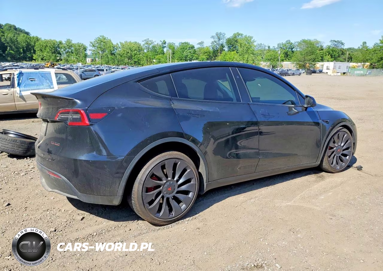 2023 Tesla Model Y VIN:7SAYGDEF9PF957891 - 3