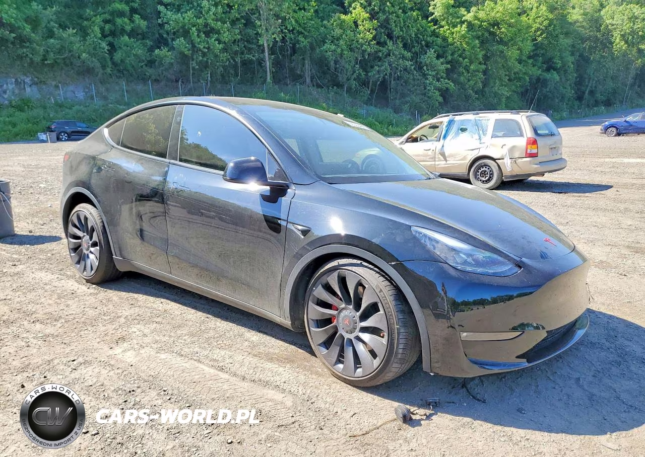 2023 Tesla Model Y VIN:7SAYGDEF9PF957891 - 4