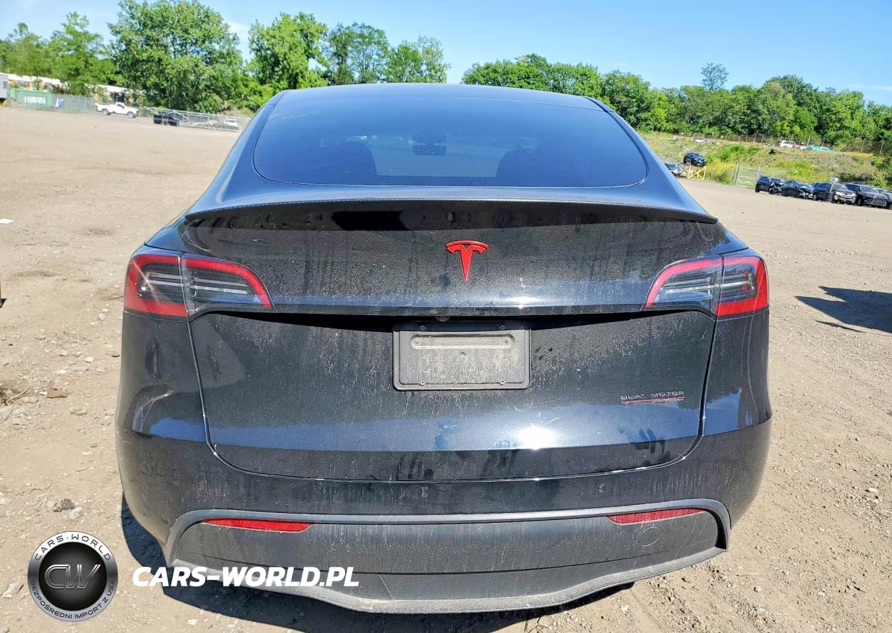 2023 Tesla Model Y VIN:7SAYGDEF9PF957891 - 6