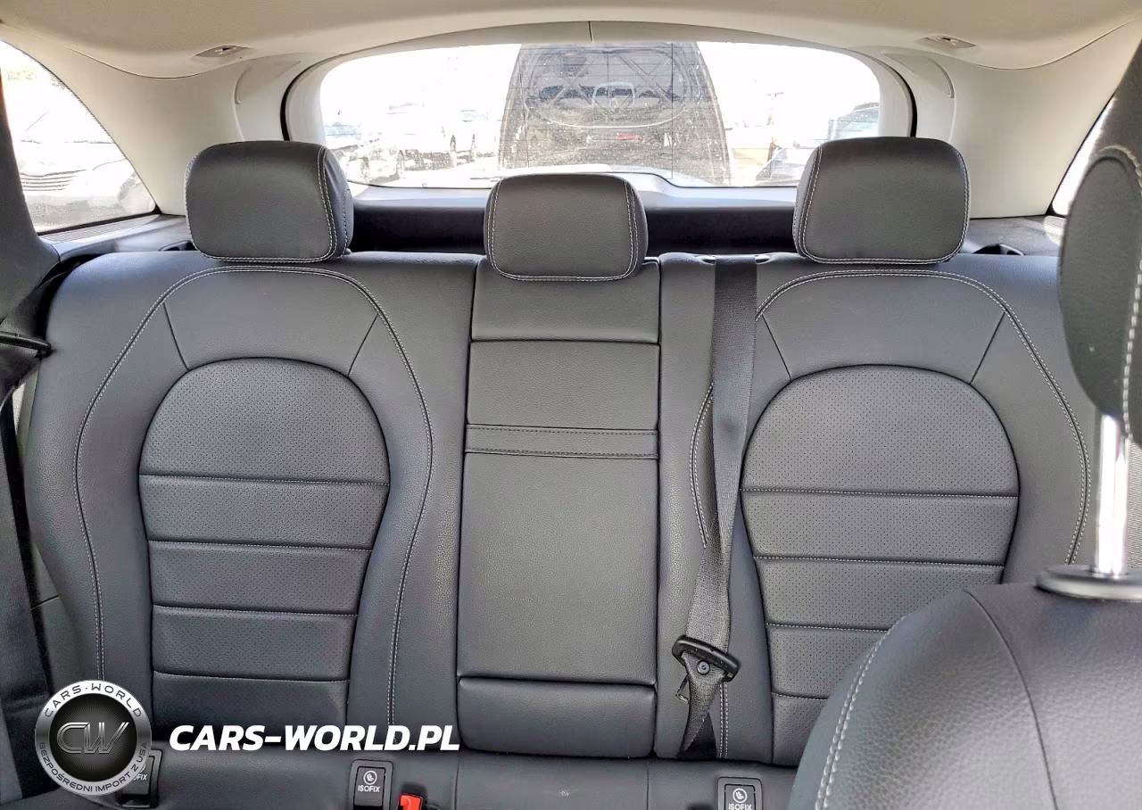 2020 Mercedes-Benz Glc 300 VIN:W1N0G8DB4LF762070 - 10