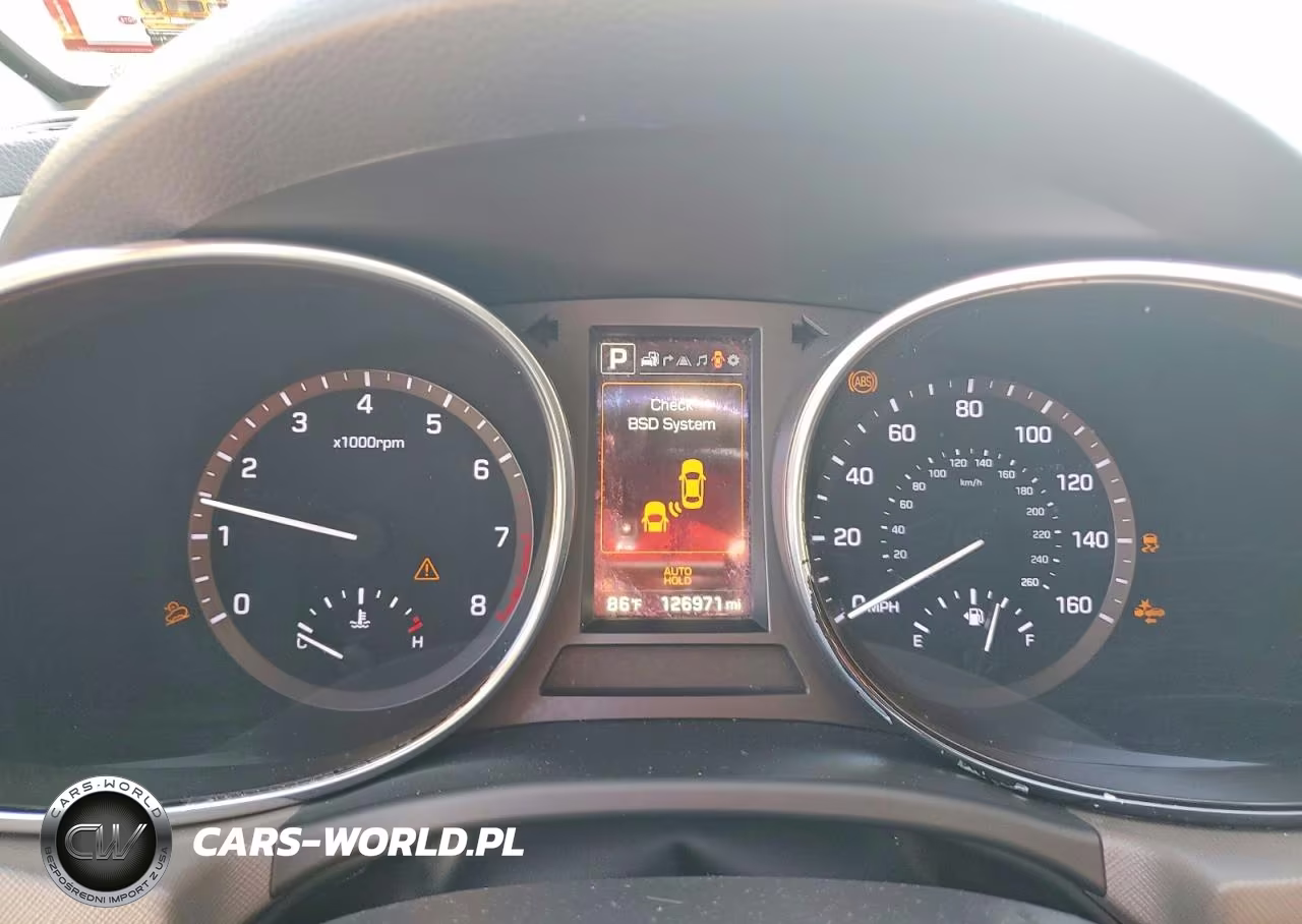 2017 Hyundai Santa Fe Limited Ultimate VIN:KM8SR4HF7HU249734 - 9