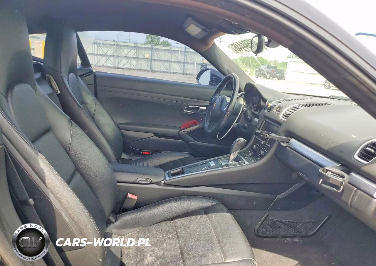 2015 Porsche Cayman VIN:WP0AA2A88FK161503 - 10