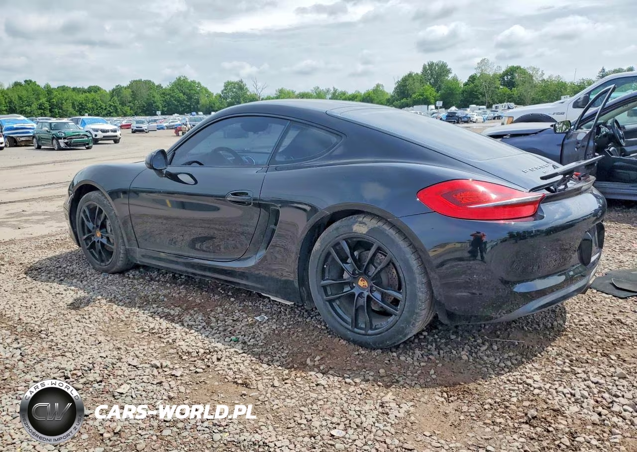 2015 Porsche Cayman VIN:WP0AA2A88FK161503 - 2