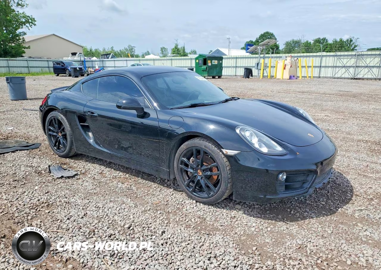 2015 Porsche Cayman VIN:WP0AA2A88FK161503 - 4