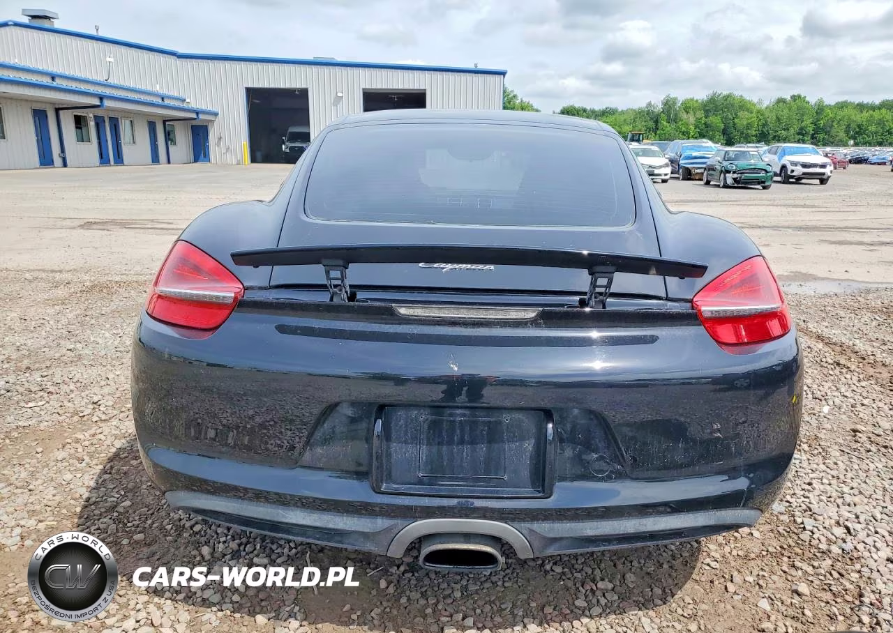 2015 Porsche Cayman VIN:WP0AA2A88FK161503 - 6