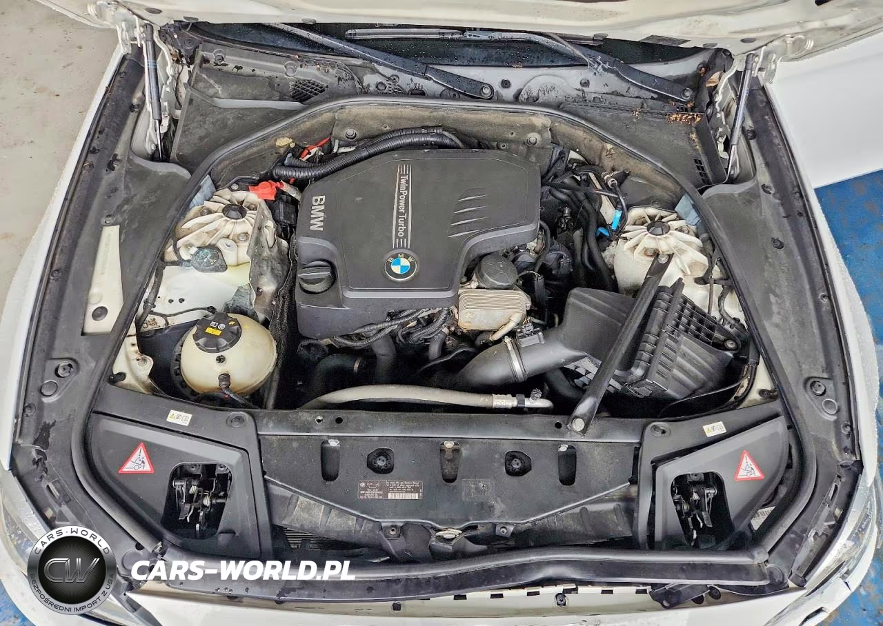 2015 BMW 528 Xi VIN:WBA5A7C55FD626130 - 11