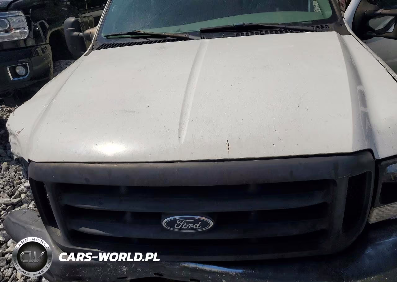 2004 Ford F350 Super Duty VIN:1FTWW32P94ED90061 - 11
