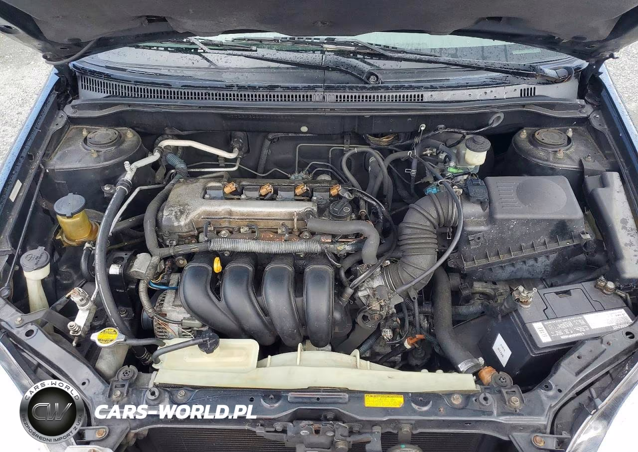 2003 Toyota Corolla Ce VIN:JTDBR32E030044562 - 11