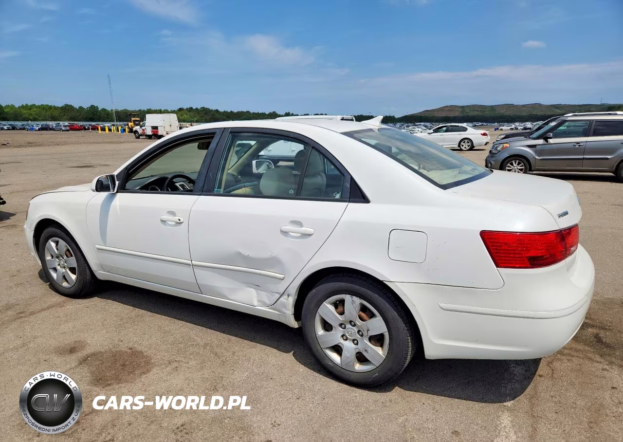 2010 Hyundai Sonata Gls VIN:5NPET4AC3AH659272 - 2