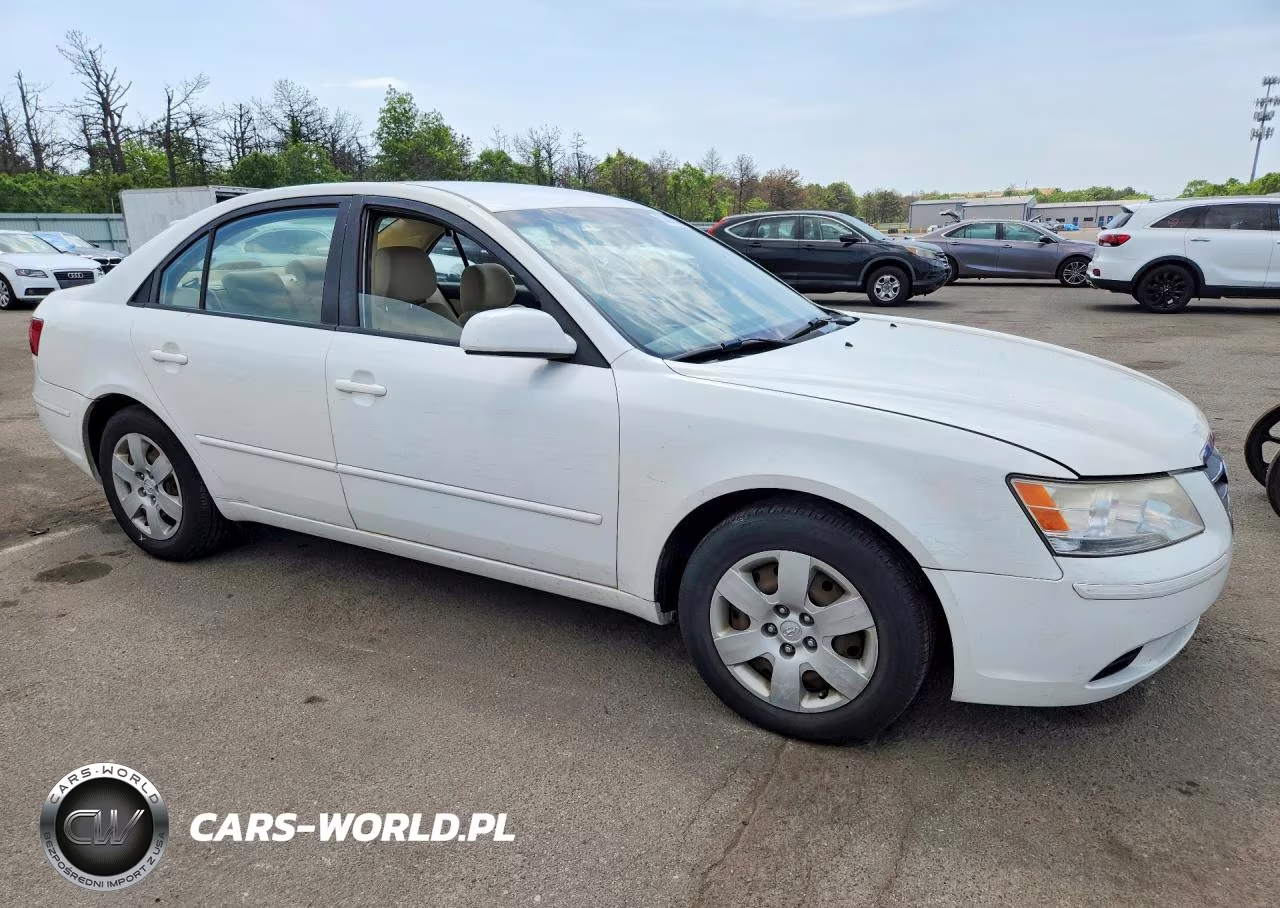 2010 Hyundai Sonata Gls VIN:5NPET4AC3AH659272 - 4