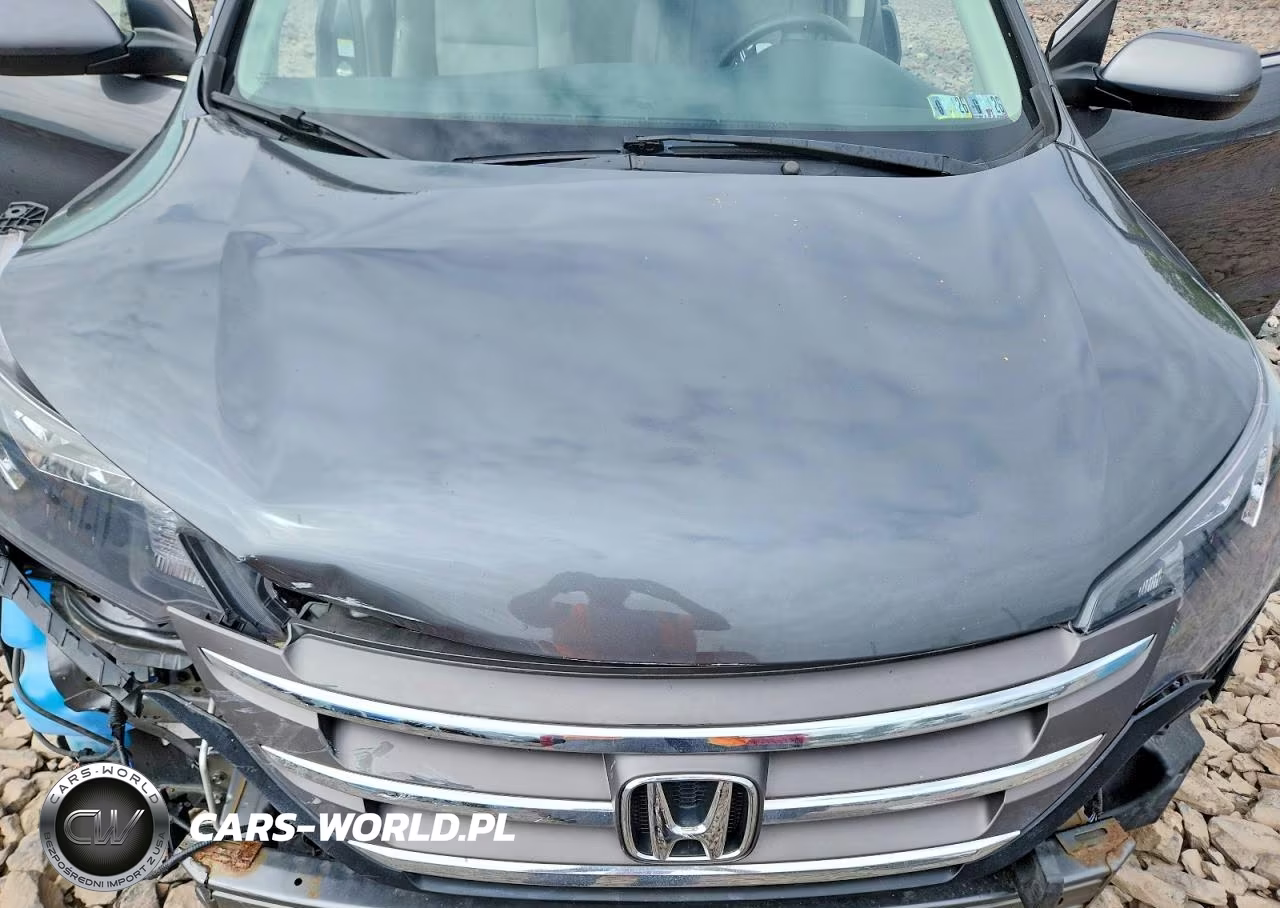 2013 Honda Cr-V Ex VIN:2HKRM4H54DH649229 - 12