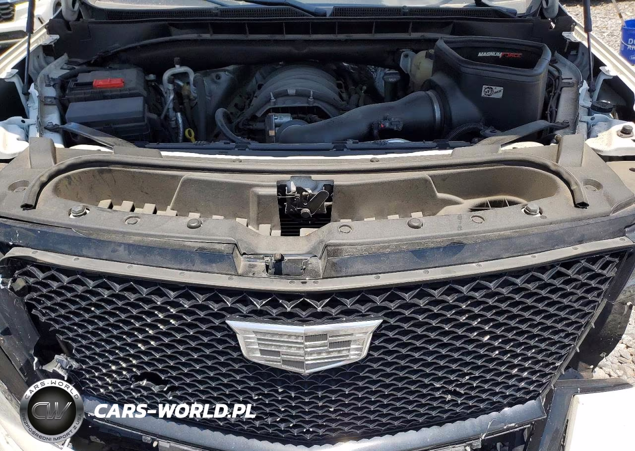2022 Cadillac Escalade Sport Platinum VIN:1GYS4GKL2NR140819 - 12