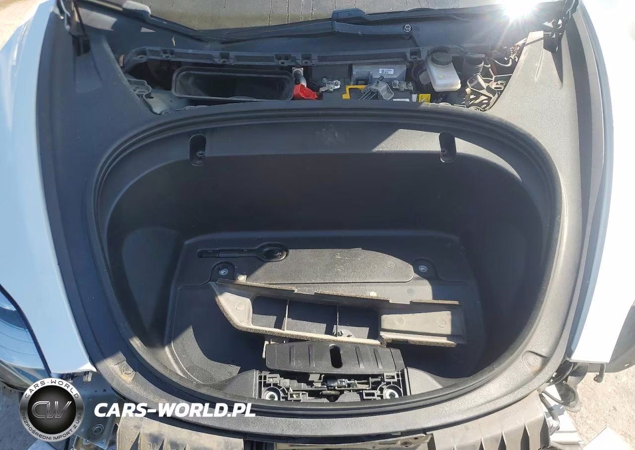 2020 Tesla Model 3 VIN:5YJ3E1EA7LF739894 - 11