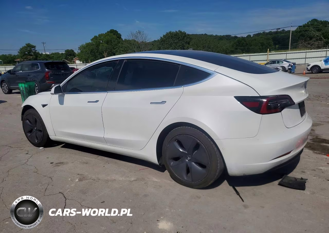 2020 Tesla Model 3 VIN:5YJ3E1EA7LF739894 - 2