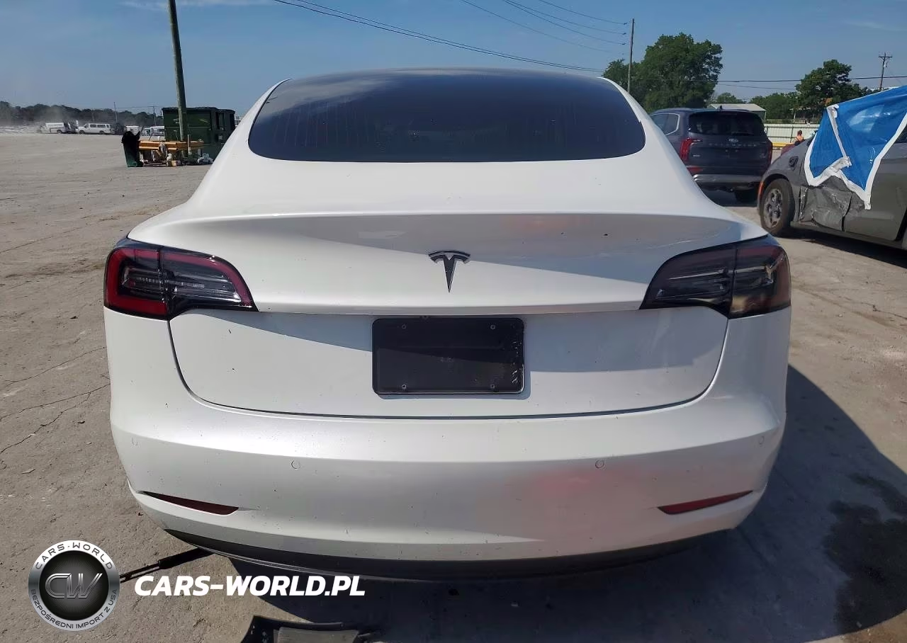 2020 Tesla Model 3 VIN:5YJ3E1EA7LF739894 - 6