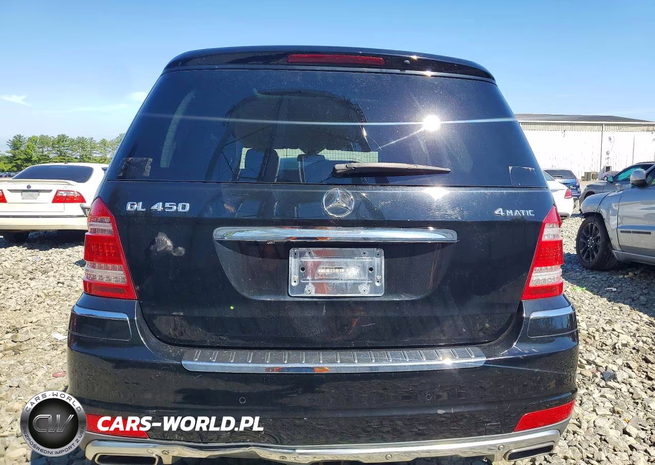 2010 Mercedes-Benz Gl 450 4Matic VIN:4JGBF7BE1AA572923 - 6